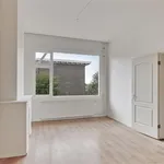 Huur 1 slaapkamer appartement van 50 m² in Arnhem