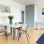 Rent 1 bedroom apartment of 42 m² in München