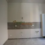 Rent 5 bedroom apartment of 150 m² in Turin