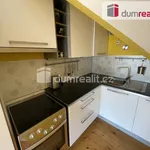 Rent 1 bedroom apartment of 98 m² in Prague