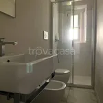 Rent 3 bedroom apartment of 80 m² in San Miniato