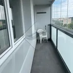 Rent 1 bedroom apartment in Prague