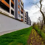 Pronajměte si 1 ložnic/e byt o rozloze 26 m² v michle