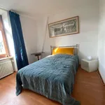 Rent 1 bedroom apartment in cologne