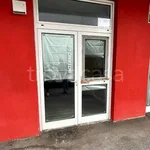 Rent 1 bedroom apartment of 50 m² in Trento