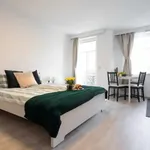 Miete 1 Schlafzimmer wohnung von 30 m² in Vienna