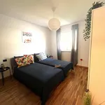 Rent 1 bedroom apartment in Trento