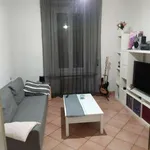 Rent 3 bedroom apartment of 80 m² in Ancona