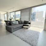 Rent 3 bedroom apartment of 84 m² in Stadsdriehoek