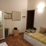 Affitto 1 camera appartamento di 16 m² in Firenze