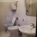 Rent 3 bedroom apartment of 60 m² in Frosinone