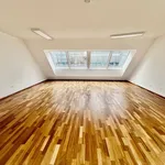 Rent 6 bedroom apartment of 210 m² in Wien