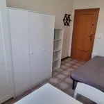 Rent 1 bedroom apartment of 14 m² in Pisa