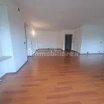 Rent 5 bedroom house of 275 m² in Turin