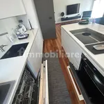 Rent 3 bedroom apartment of 120 m² in Turin