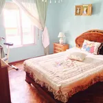 Alquilar 3 dormitorio apartamento en Valladolid