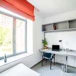 Rent a room in Burgos