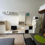 Rent 1 bedroom apartment of 25 m² in Capital City of Prague