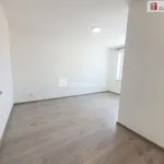 Rent 1 bedroom house of 409 m² in Tuhaň