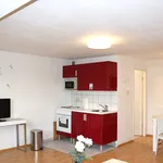 Rent 1 bedroom apartment of 431 m² in Cologne