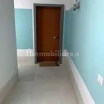 Rent 2 bedroom apartment of 55 m² in Foggia