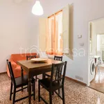 Rent 3 bedroom apartment of 80 m² in Firenze