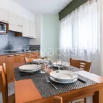 Rent 2 bedroom apartment of 60 m² in Chiesa in Valmalenco