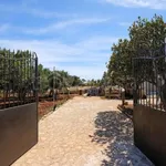 Rent 2 bedroom house of 55 m² in San Vito lo Capo