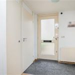 Huur 1 slaapkamer appartement van 48 m² in Nijmegen