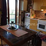 Rent 1 bedroom apartment of 50 m² in Pavia