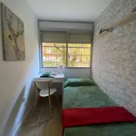 Rent a room of 45 m² in madrid