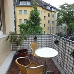 Rent 1 bedroom apartment in dusseldorf