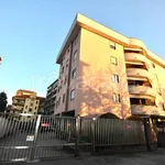 Rent 1 bedroom apartment of 30 m² in Novara