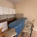 Rent 1 bedroom apartment of 25 m² in LYON 03