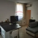 Rent 3 bedroom apartment of 80 m² in Bologna