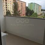 Rent 1 bedroom apartment in Chomutov