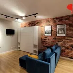 Rent 1 bedroom apartment of 31 m² in Poznan