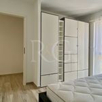 Rent 3 bedroom apartment of 75 m² in METZ
