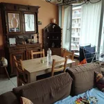 Rent 1 bedroom apartment in Ostend