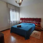 Rent 3 bedroom apartment of 105 m² in Padova