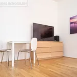 Rent 1 bedroom apartment of 31 m² in Linz