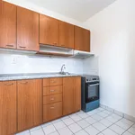 Rent 1 bedroom apartment in Horoměřice