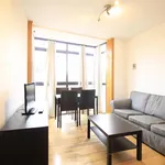 Rent 1 bedroom apartment in Madrid