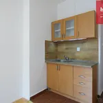 Rent 1 bedroom apartment in Opava