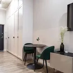 Rent 1 bedroom apartment in vilnius