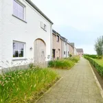 Huur 4 slaapkamer huis van 187 m² in Zwevezele