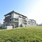 Rent 2 bedroom apartment in Nymburk