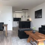 Rent 1 bedroom apartment of 732 m² in Cologne