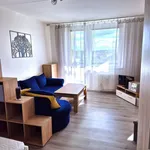 Rent 1 bedroom apartment of 40 m² in Prostějov