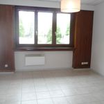 Rent 1 bedroom apartment of 19 m² in Nancy